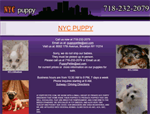 Tablet Screenshot of nycpuppy.com